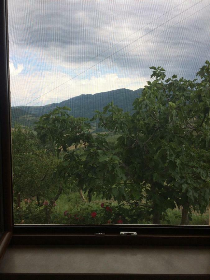 La Casa Nel Verde Castelmezzano Eksteriør bilde